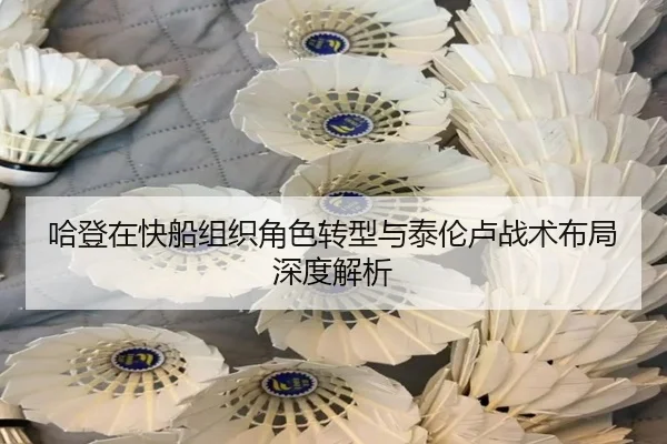 ha-deng-zai-kuai-chuan-zu-zhi-jue-se-zhuan-xing-yu-tai-lun-lu-zhan-shu-bu-ju-shen-du-jie-xi-3-428.jpg