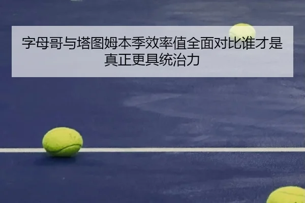 字母哥与塔图姆本季效率值全面对比谁才是真正更具统治力